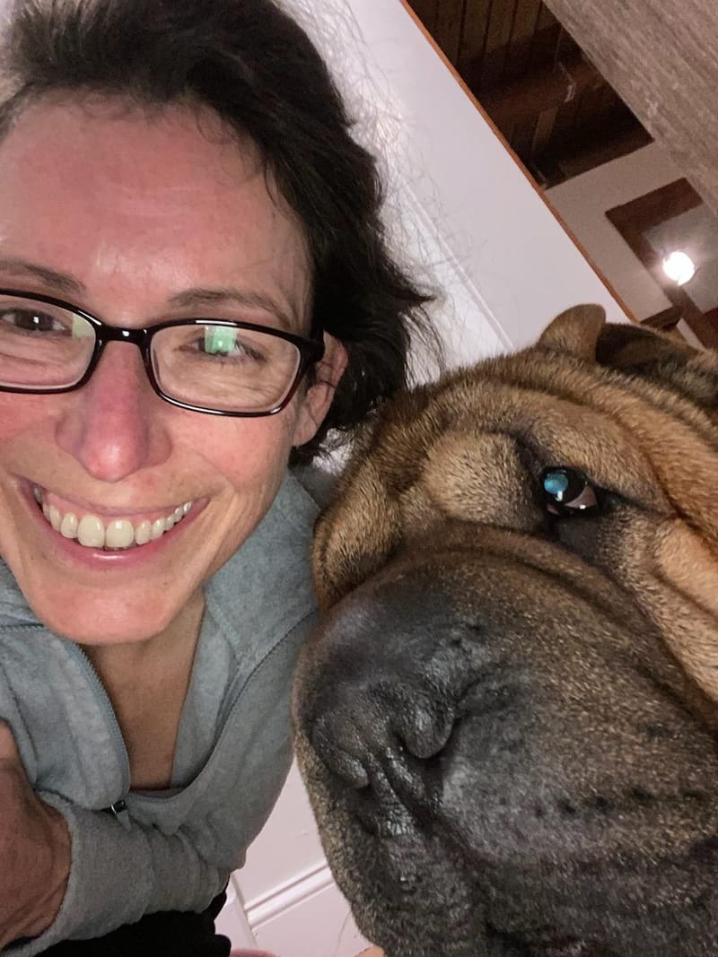 puppies from past litters