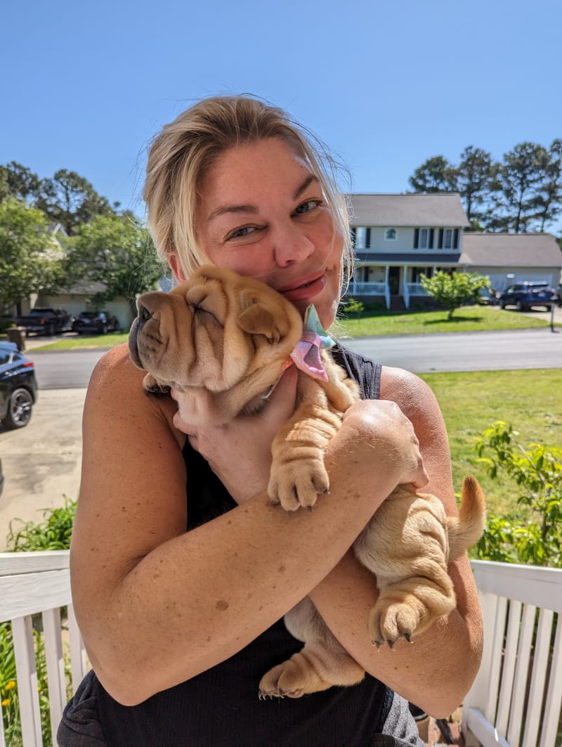 puppies from past litters