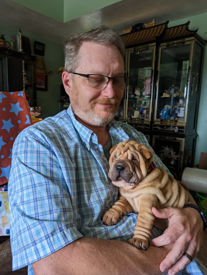 puppies from past litters