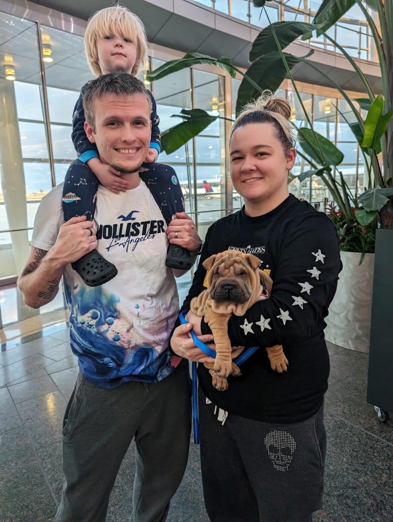 puppies from past litters