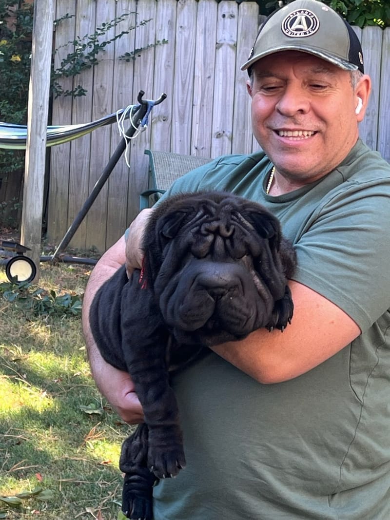 puppies from past litters