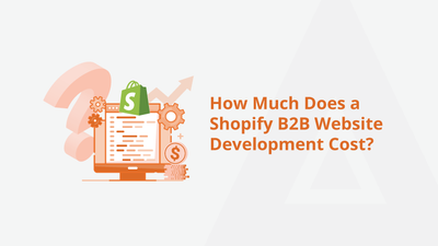 How Much Does a Shopify B2B Website Development Cost