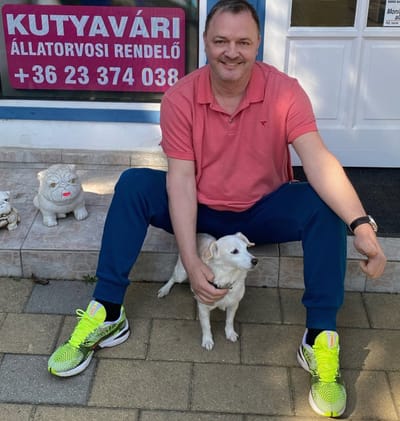 A Kutyavári Stresszmentes (Fear Free) állatorvosi rendelő  image