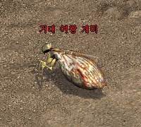 거대 여왕개미