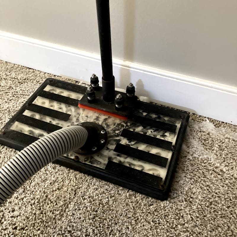 Carpet Cleaning