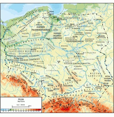 W czym Polska ma naja?