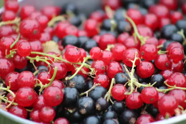 Porzeczki w słoiku poładniajace