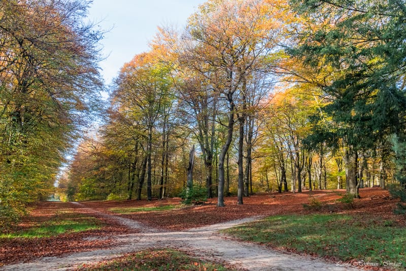 Herfst op zijn mooist (2022)