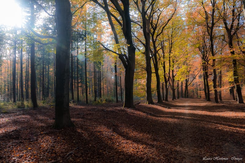 Herfst op zijn mooist (2022)