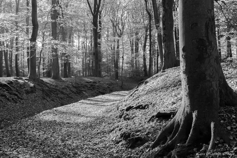 Herfst op zijn mooist (2022)