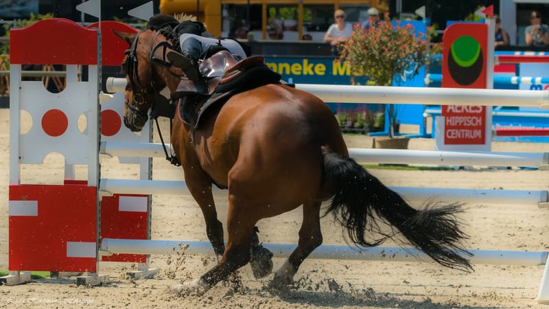 Kwalificatiewedstrijd voor de Olympische Spelen in Parijs (2024). 