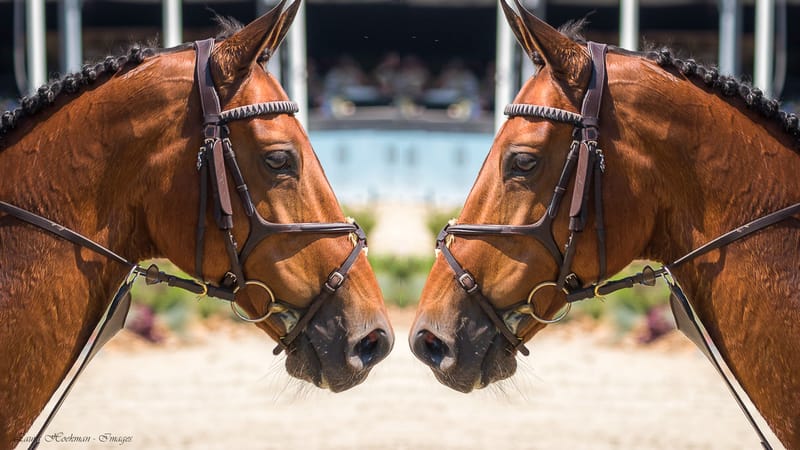 Kwalificatiewedstrijd voor de Olympische Spelen in Parijs (2024). 