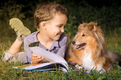 Воспитание человечности (предисловие к будущей книге)