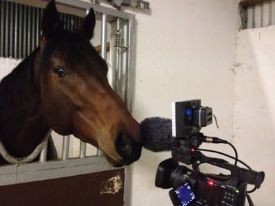 What Is The Documentary About? image