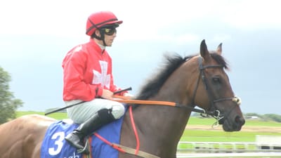 Follow On Social Media image