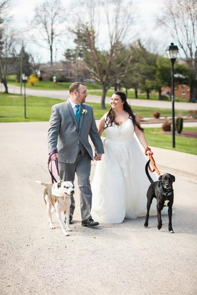 Weddings and Special Events image