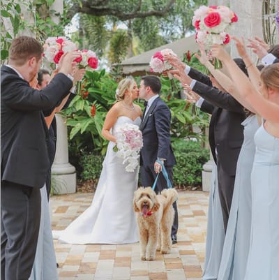 Weddings and Special Events image