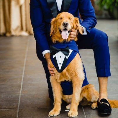 Weddings and Special Events image