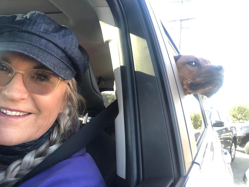 Pet Nanny/Taxi/Pop Ins/Walks