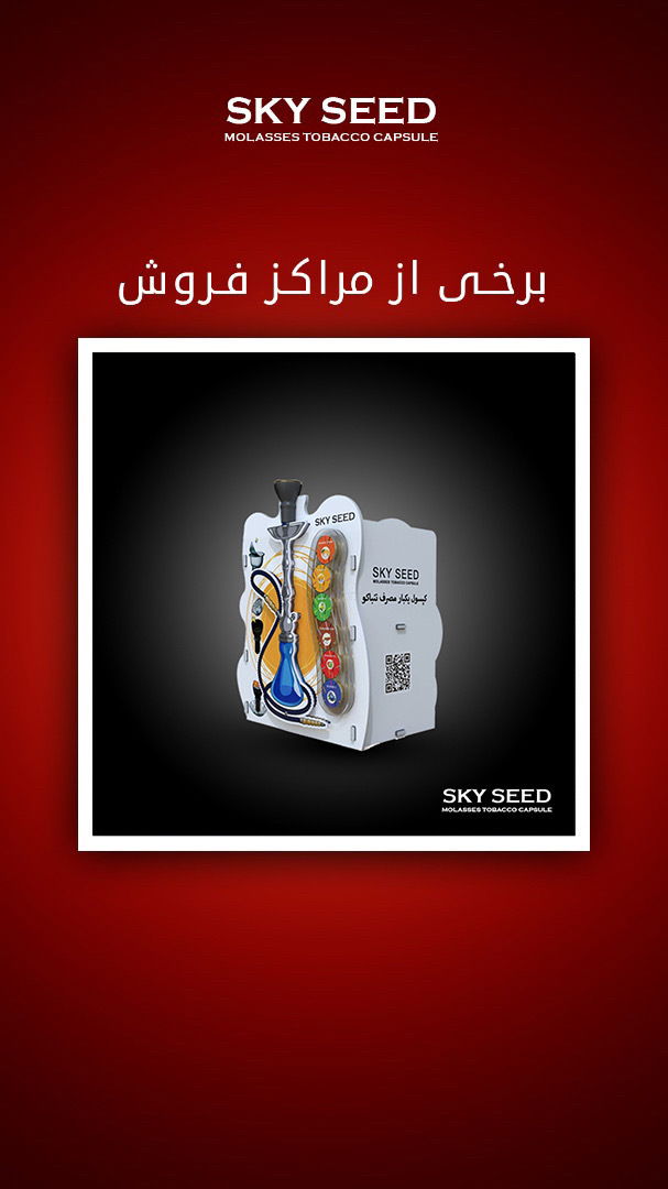 نماینده جزیره قشم