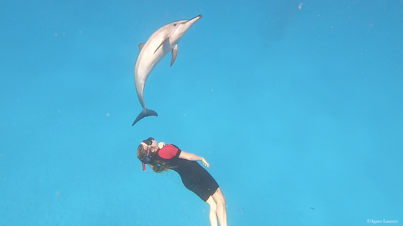 Sataya Dolphin Reef