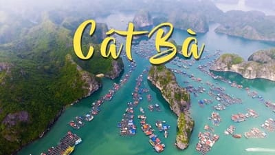Thong tin dich vu xe taxi Noi Bai di Cat Ba uy tin, gia tot nhat