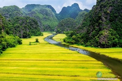 Xe taxi di tam coc bich dong