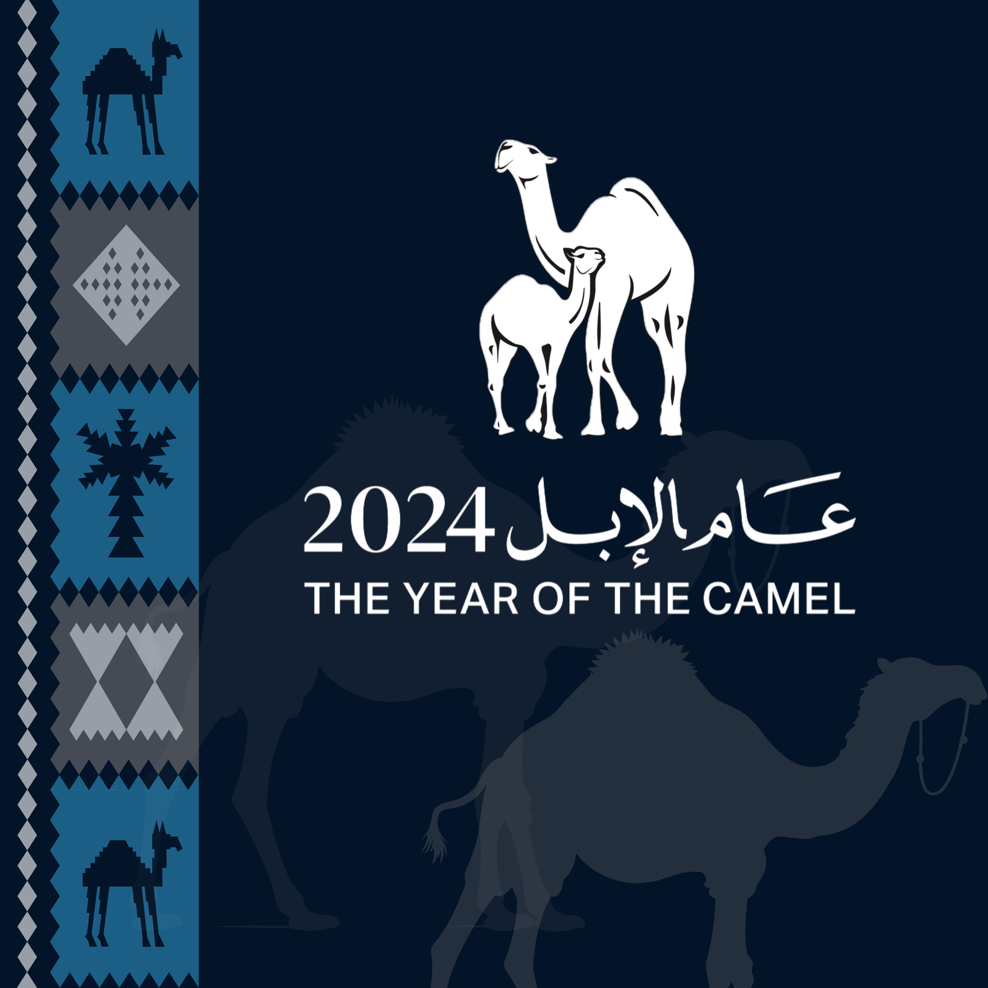 The Kingdom's investments in the camel sector