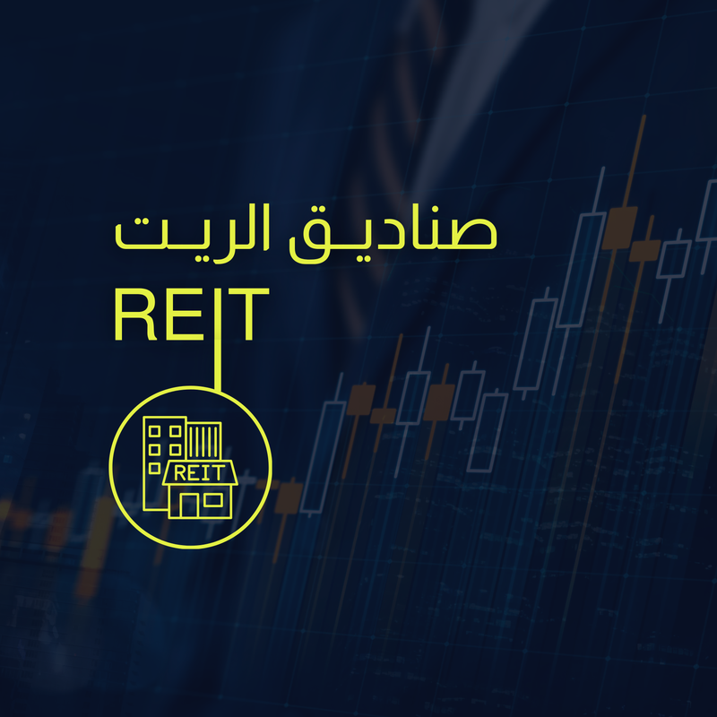 Real Estate Investment Traded Funds - REITs