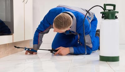 مــكــافــحــة الصـــراصــيــر 0509493126