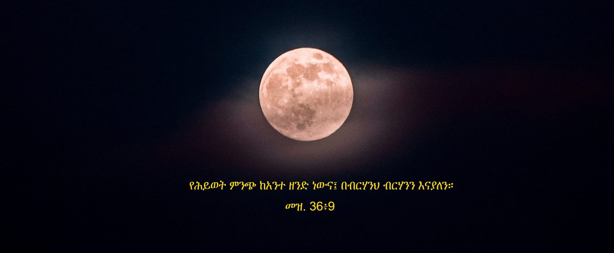 1- የመጽሐፍ ቅዱስ ጥናት