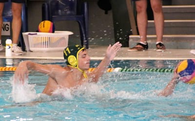 2017 Newington College Newsletter