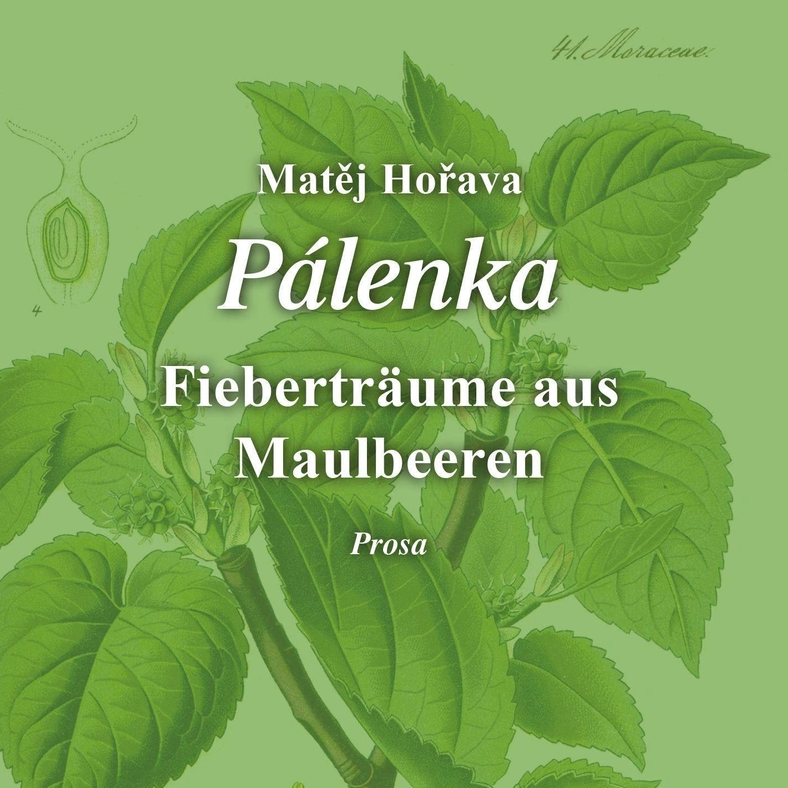 Matěj Hořava: "Pálenka"