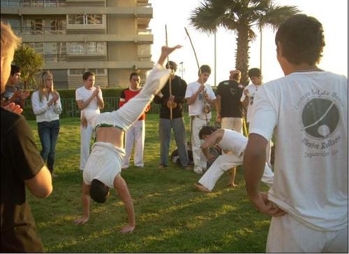 Social Circus, festivals, workshops and more