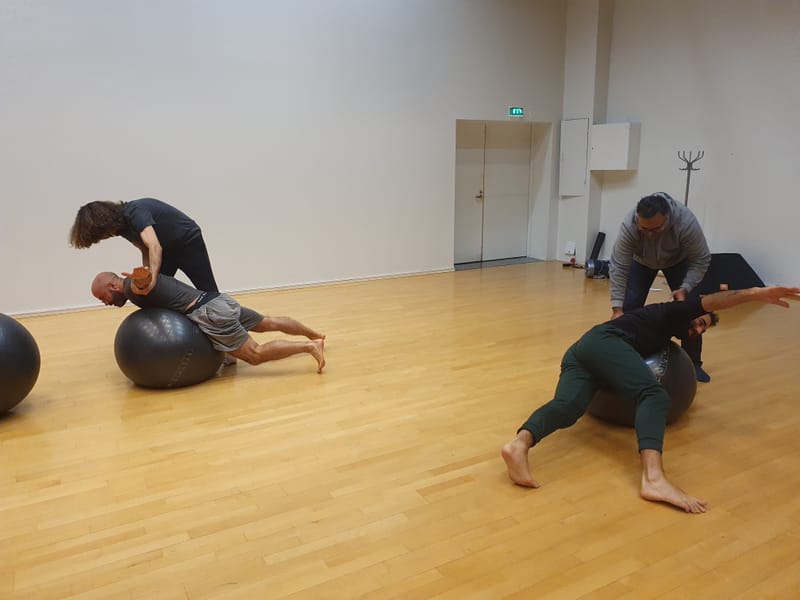 Circus and workshops for adults and seniors