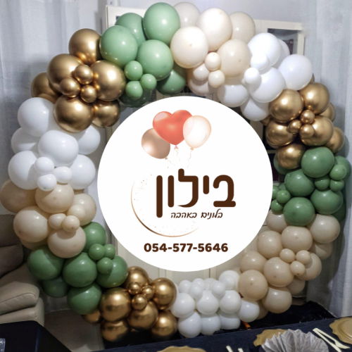 קיר צילום בלונים