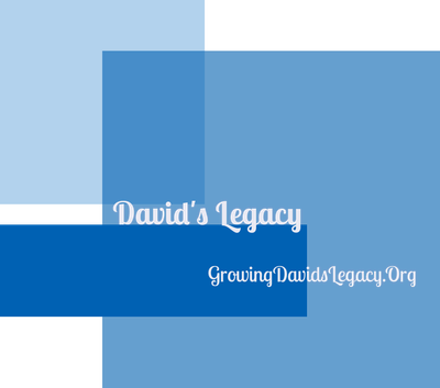 Growingdavidslegacy.org