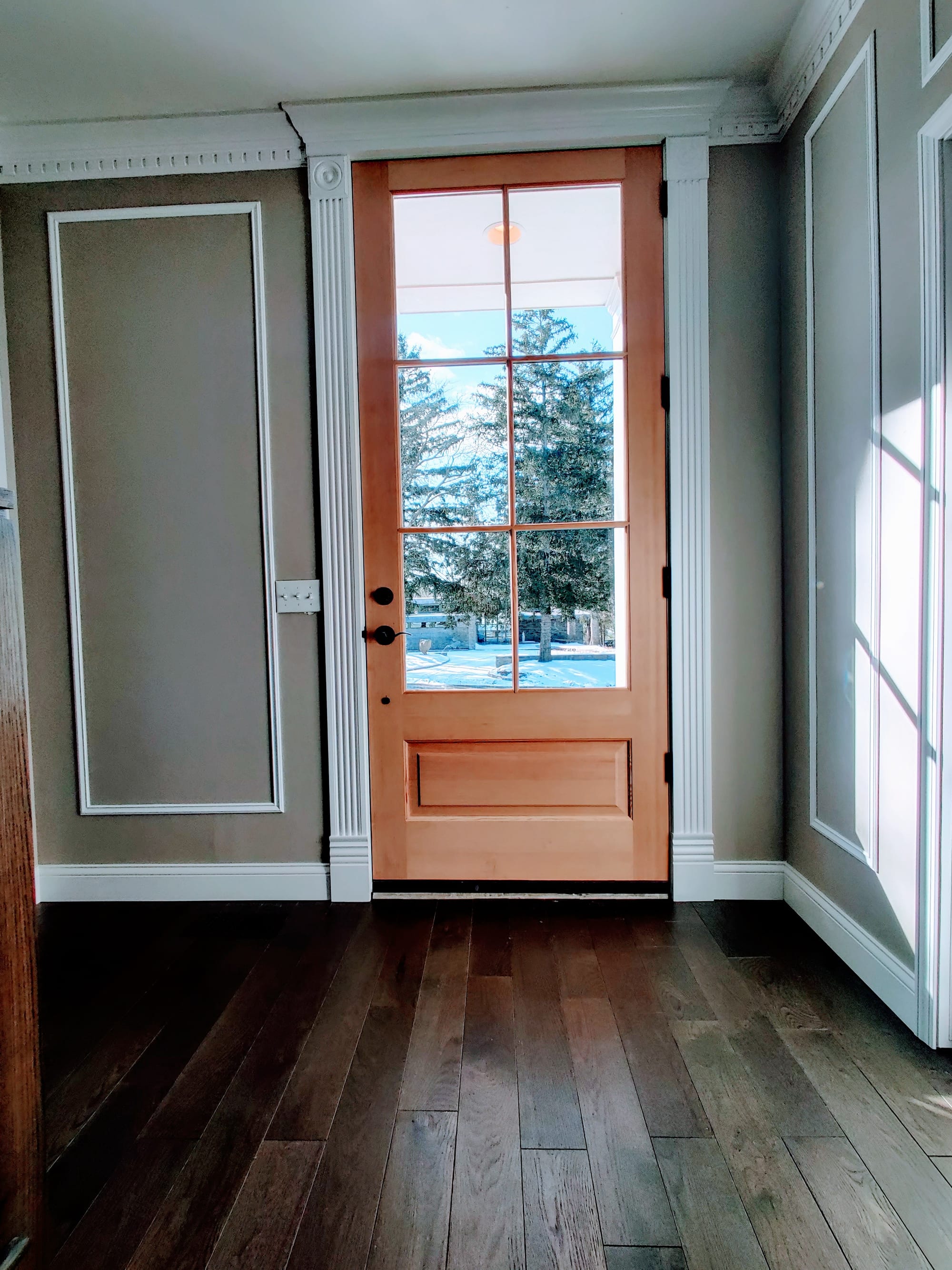 Front door and hall trim