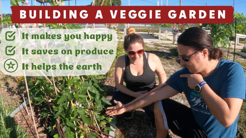Building a vegetable garden