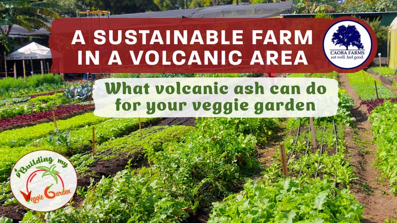 Best travel destination combo: sustainable farming and volcanic area