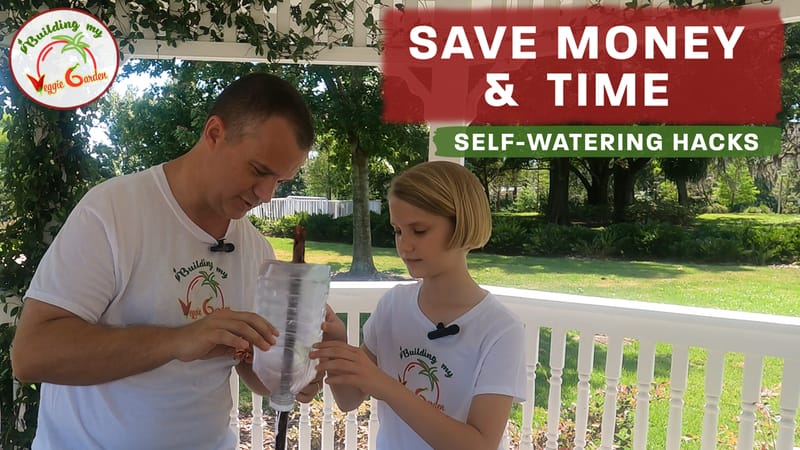 Self-Watering Hacks