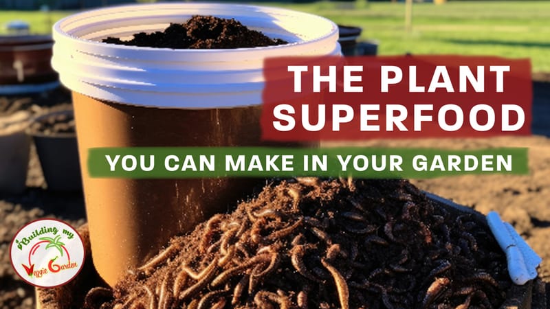 The DIY Plant Superfood- Worm castings- you can make in your garden with a worm farm