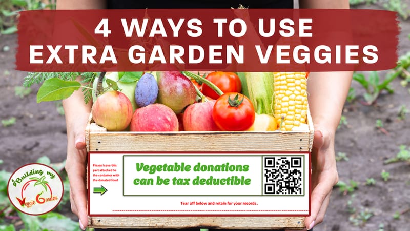 4 Ways to use your surplus of vegetables in the garden