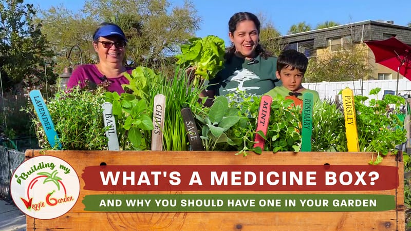 Let's build a medicine box in the garden!