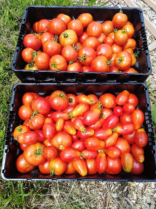 2022 Harvest Coming In!