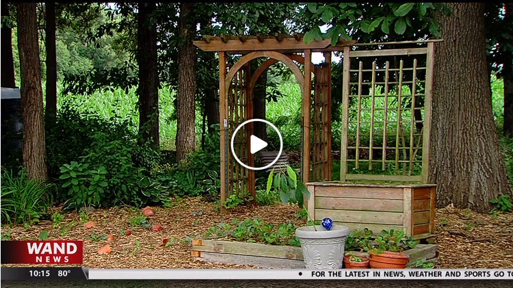 Emerald Gardens on WAND TV