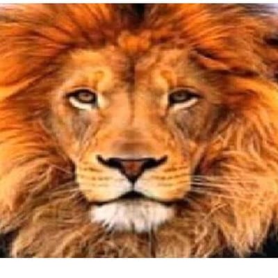 Samrica security & trading pty LTD