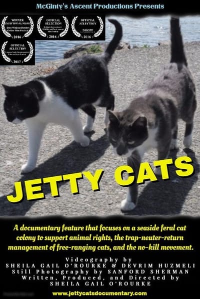 JETTY CATS image