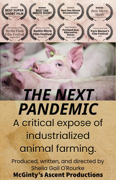 THE NEXT PANDEMIC image