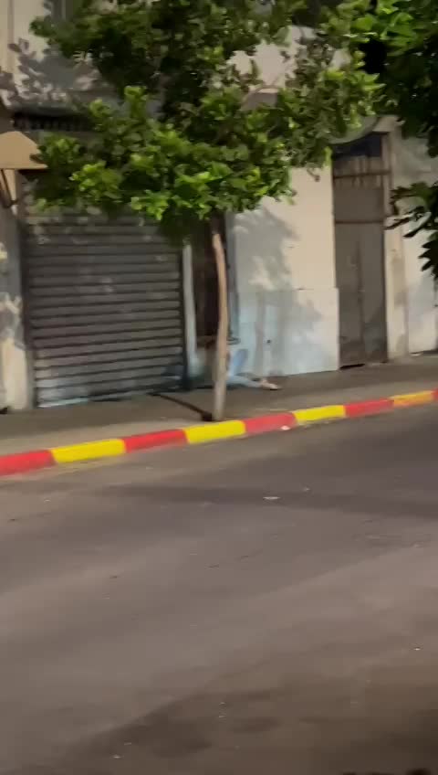 14.8.2022 ארלינגר